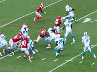 DSC 8847 - Edit : Dolphin Game Luke Virgin Atlantic